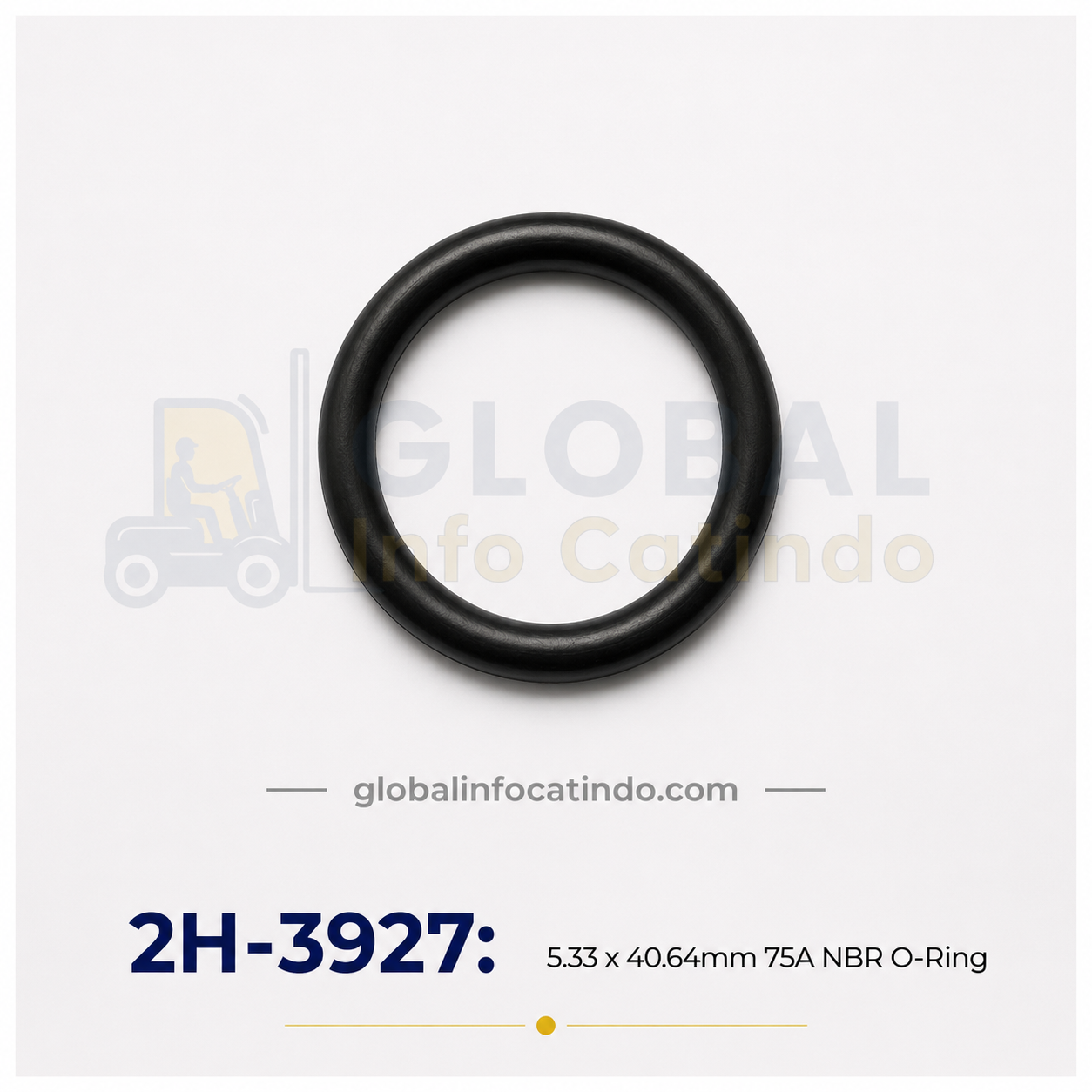 2H3927 Seal Oring