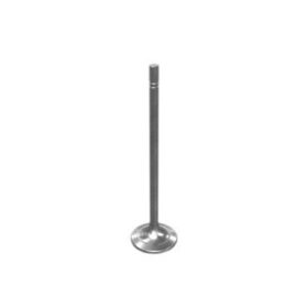 468-8824 Valve-Inlet